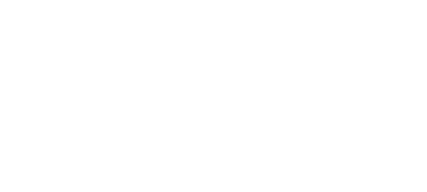 9 (16)