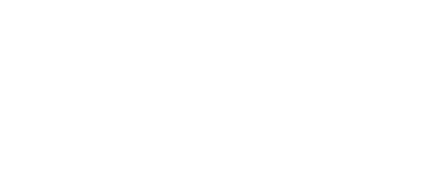 ex-1.webp